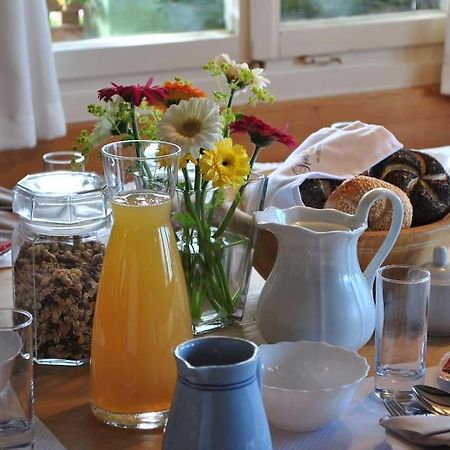 Grosszuegige Ferienwohnung Am Skigebiet Boedele Mit Rheintalblick ドルンビルン エクステリア 写真