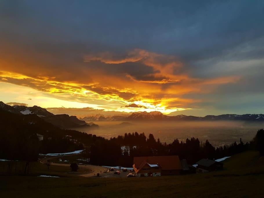 Grosszuegige Ferienwohnung Am Skigebiet Boedele Mit Rheintalblick ドルンビルン エクステリア 写真