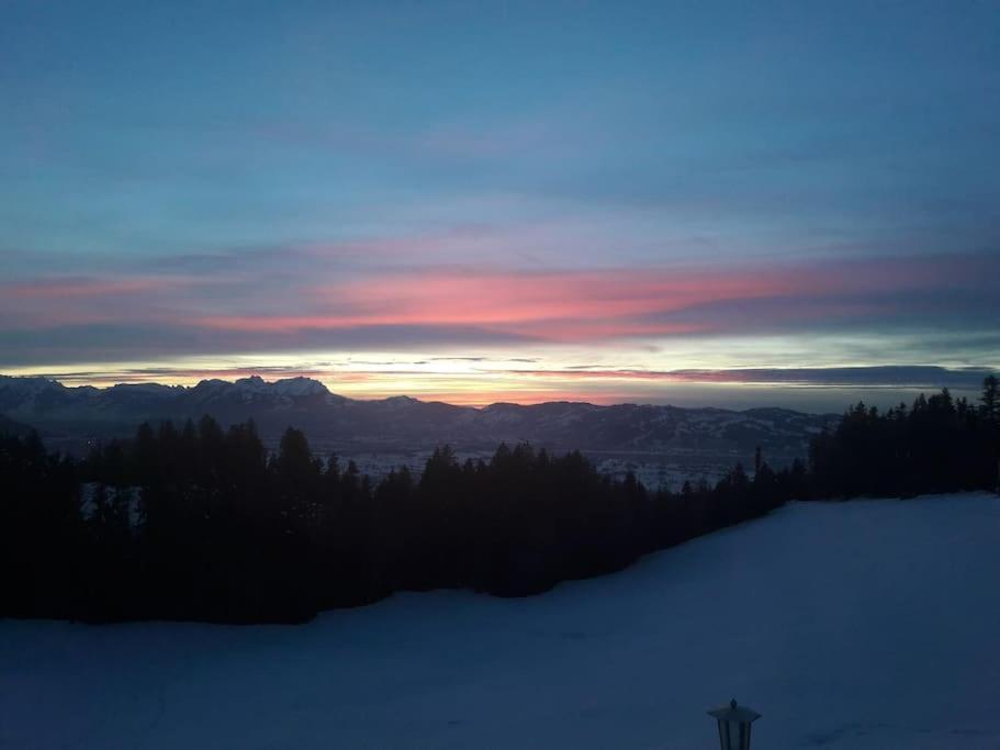 Grosszuegige Ferienwohnung Am Skigebiet Boedele Mit Rheintalblick ドルンビルン エクステリア 写真