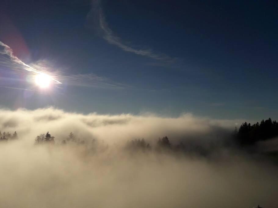 Grosszuegige Ferienwohnung Am Skigebiet Boedele Mit Rheintalblick ドルンビルン エクステリア 写真